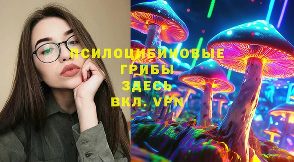 соль ск Верхний Тагил