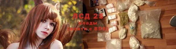 СК Бронницы