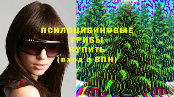 соль ск Верхний Тагил