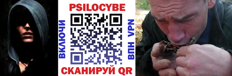 нарко площадка как зайти Горно-Алтайск Псилоцибиновые грибы мухоморы