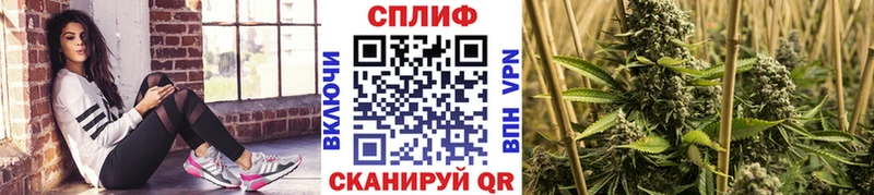 Бошки марихуана ГИДРОПОН Горно-Алтайск
